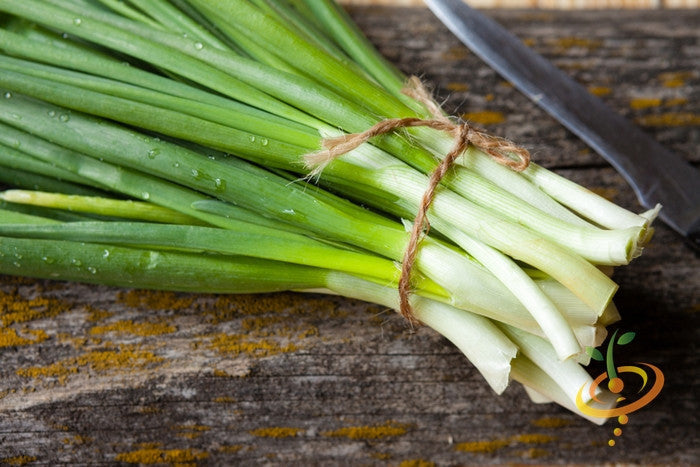 Bunch of fresh green evergreen bunching onions tied with twine on wooden surface