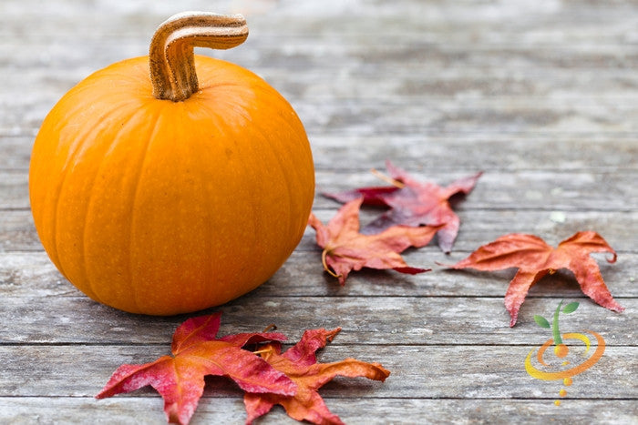 Small Sugar pumpkin on wooden surface with autumn leaves, bright orange and smooth textured pumpkin perfect for pies