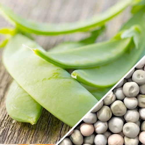 Close-up of fresh Oregon Sugar Pod peas and seeds on a wooden surface