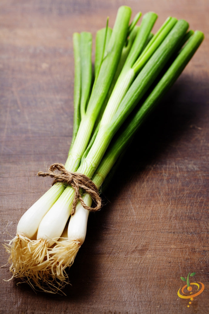 White Lisbon onion seeds from SeedsNow, bunching onion variety, shown in a close-up image with fresh green leaves.