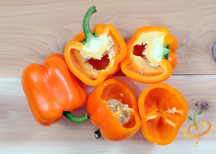 Sweet orange horizon pepper plant with vibrant orange peppers, growing on a lush green stem, from SeedsNow.