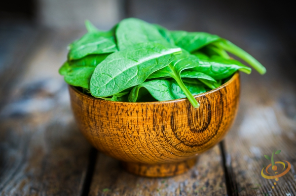 Growing Spinach From Seed Can Be a Little Tricky.  Here's why!