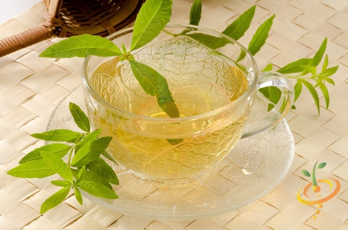 10 MUST GROW Plants for Herbal Tea Lovers