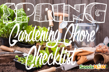 Spring Gardening Checklist