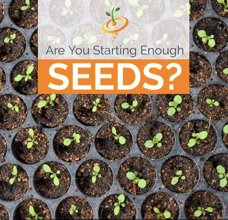 Are you starting enough seeds?