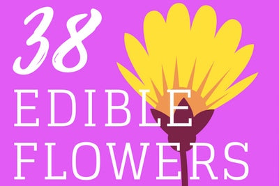 38 Edible Flowers To Plant In Your Garden