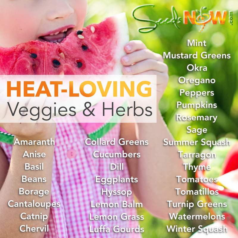 Heat-Loving Varieties that Grow Great in the Southern States