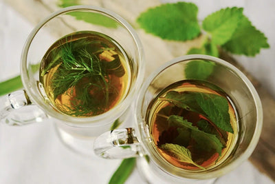Popular Medicinal Herbs for Tea Making ☕