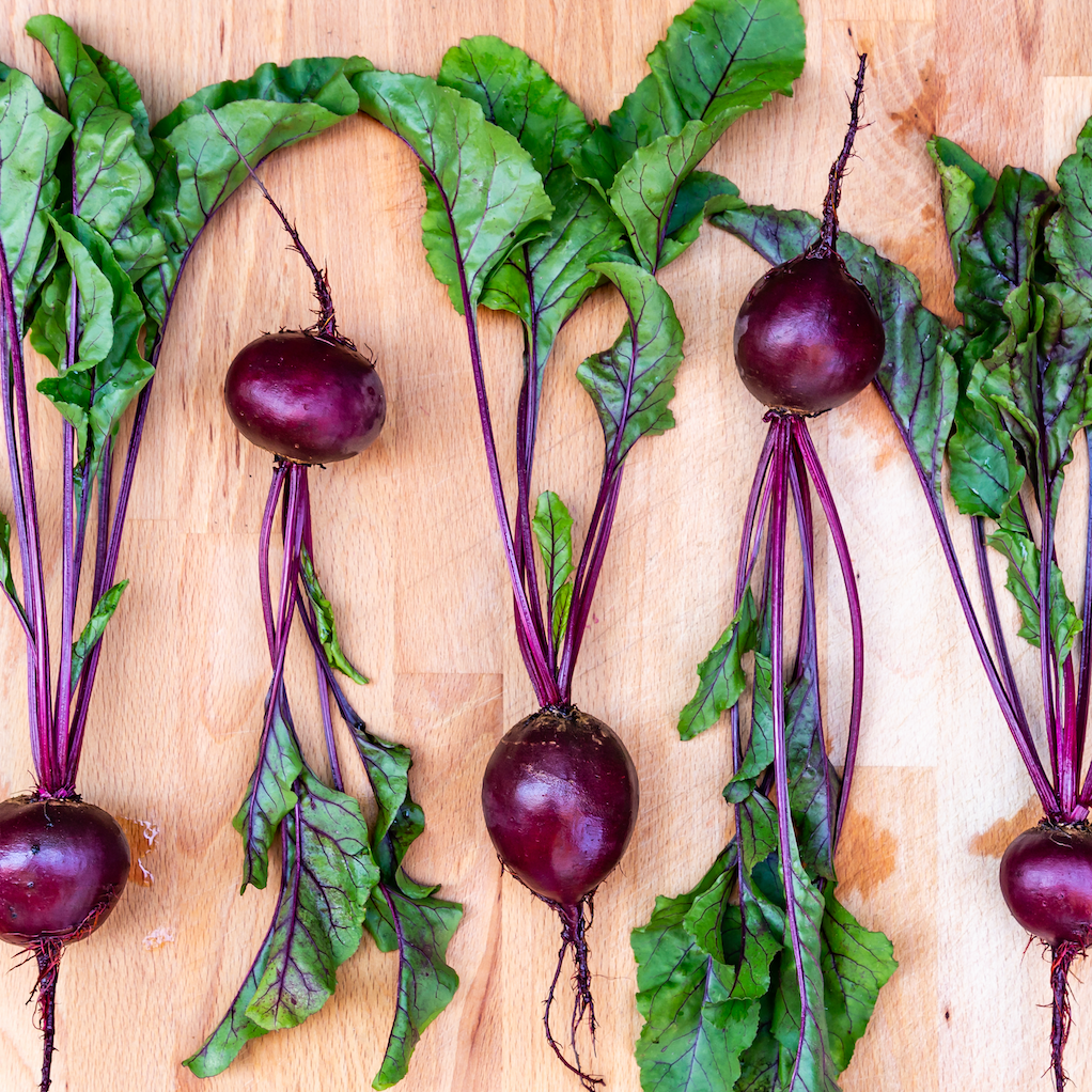 Best Companion Plants for Beets to Boost Growth & Garden Health