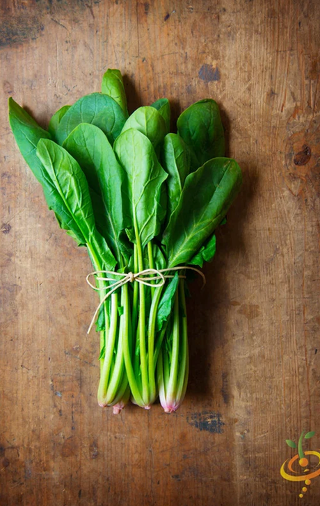 Buy Premium Spinach seeds | Grow Delicious Healthy Spinach at Home