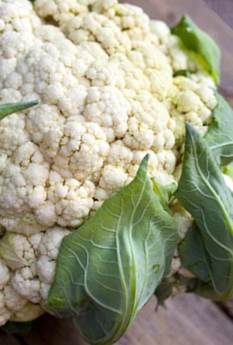 Buy Cauliflower Seeds | Shop Highest-Quality Organic NON-GMO Heirloom