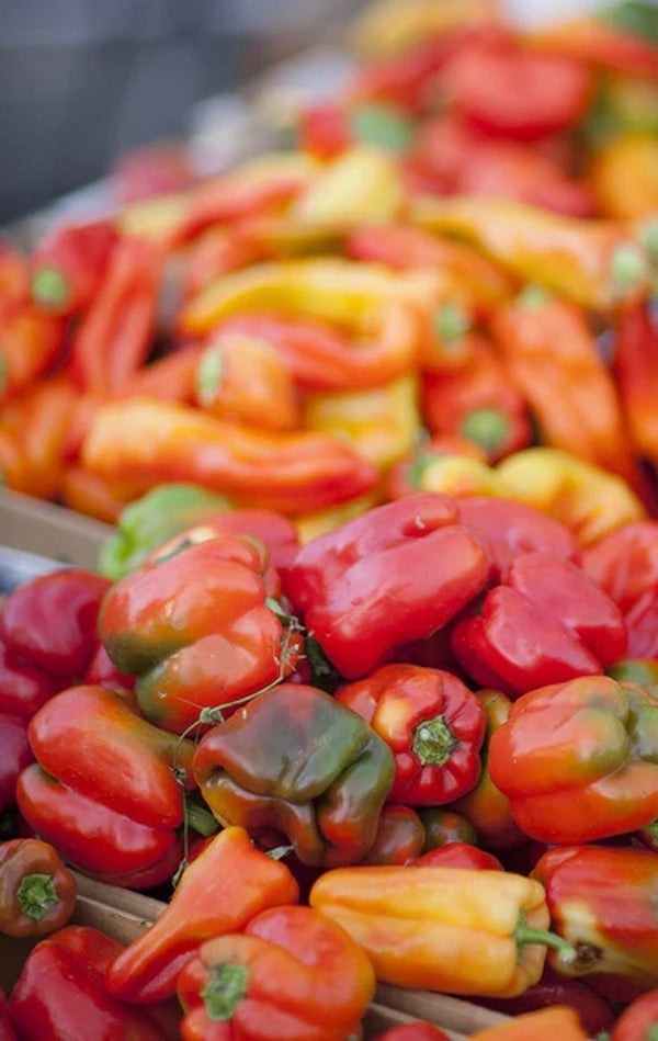 Buy quality Sweet Pepper Garden Seeds Online from the USA now!