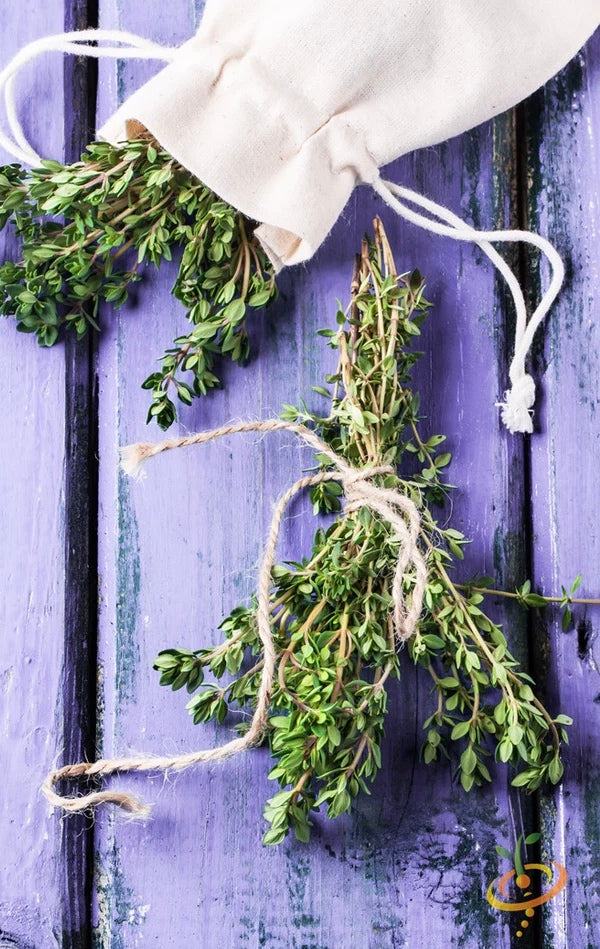 Buy High-quality thyme seeds that are organic non-gmo and heirloom for organic herb garden planting