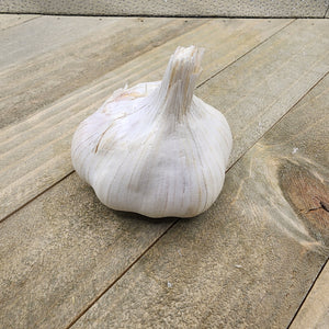Garlic - (Soft Neck) Inchelium Red (Organic)