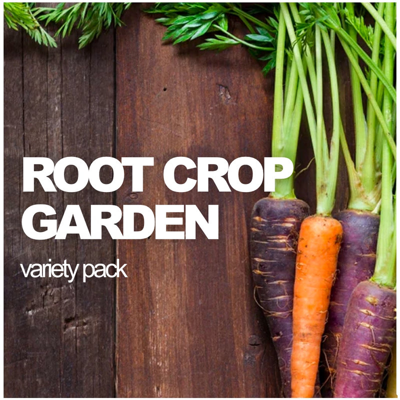 All-in-One Root Crop Garden Variety Pack - SeedsNow.com