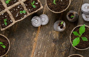 *FREE GIFT* ALL-IN-1 SEED STARTER KIT! - SeedsNow.com - *Free*