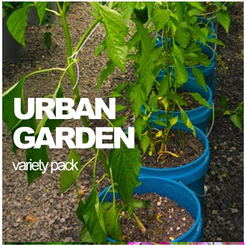 All-in-One Urban Garden Variety Pack - SeedsNow.com