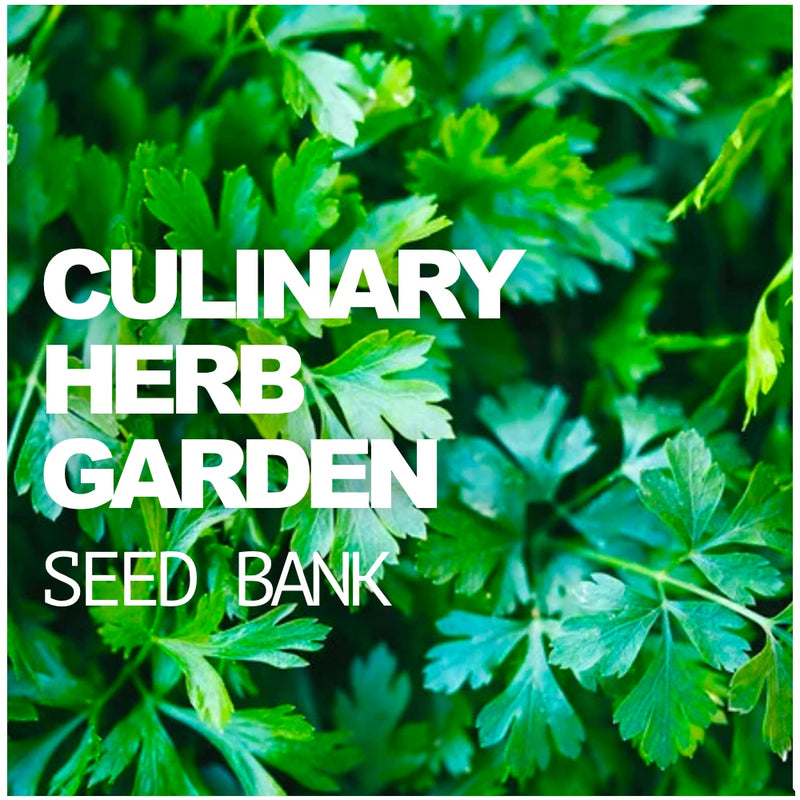 All-in-One Culinary Herb Garden Seed Bank - SeedsNow.com