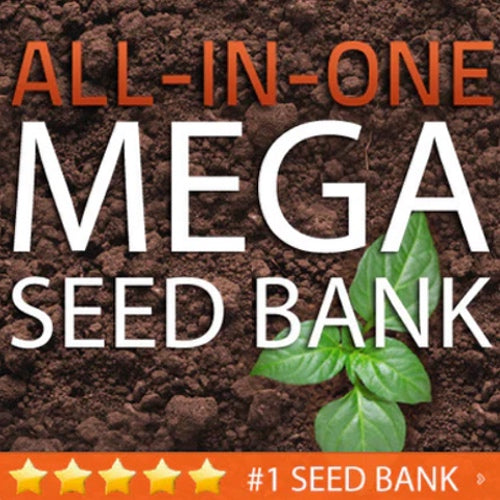 ALL-in-ONE MEGA Seed Bank