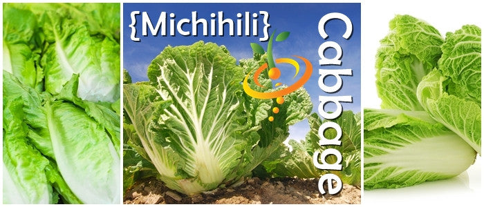 Cabbage - Michihili.