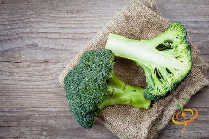 Fresh green broccoli from SeedsNow, featuring tightly clustered florets and thick stalks, ready for cooking or fresh eating.