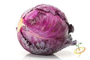 Cabbage - Mammoth Red Rock.