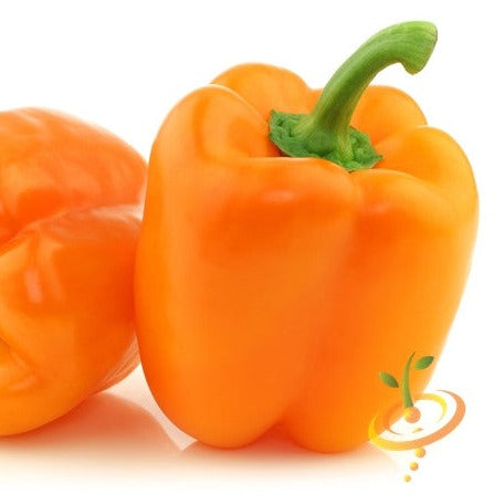 Pepper (Sweet) - Orange King - SeedsNow.com