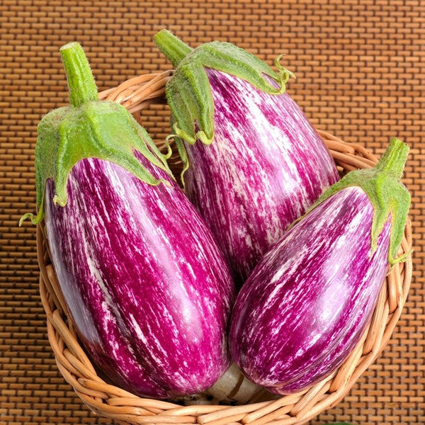 Eggplant - Pandora Striped - SeedsNow.com