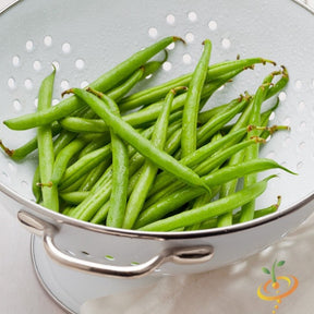 Kentucky Wonder pole bean with white seeds, climbing plant ready for harvest, grown by SeedsNow.