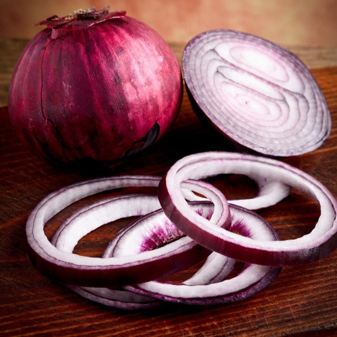 Onion - Red Burgundy (Short Day) - SeedsNow.com