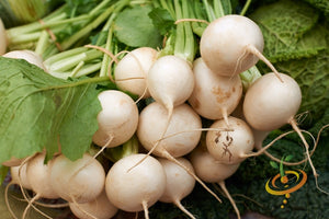 Turnip - Golden Globe.