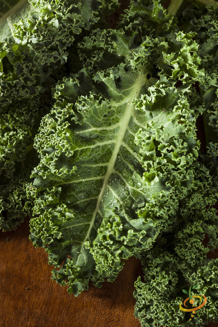 Kale - Vates.