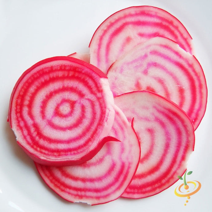 Chioggia beet seeds from SeedsNow, showing vibrant red and white striped beet root and healthy green foliage.