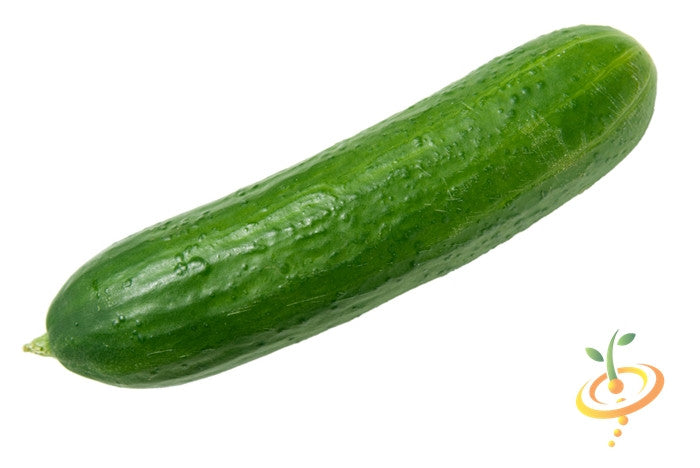 Cucumber - Marketmore.