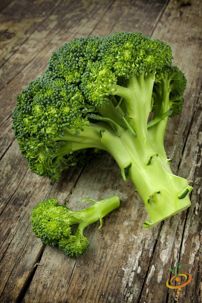 Broccoli - Di Cicco.