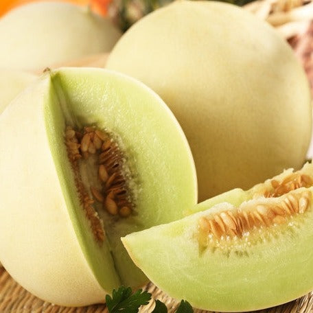 Melon (Honeydew) - Green Flesh