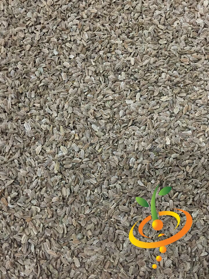 Fresh Danvers carrot seeds from SeedsNow, 7 inches long, ideal for planting and growing sweet, crisp carrots in your garden.