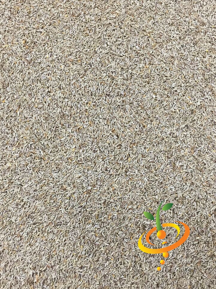 German chamomile flower seeds from SeedsNow, showing small dried seed pods ideal for planting and growing chamomile flowers.