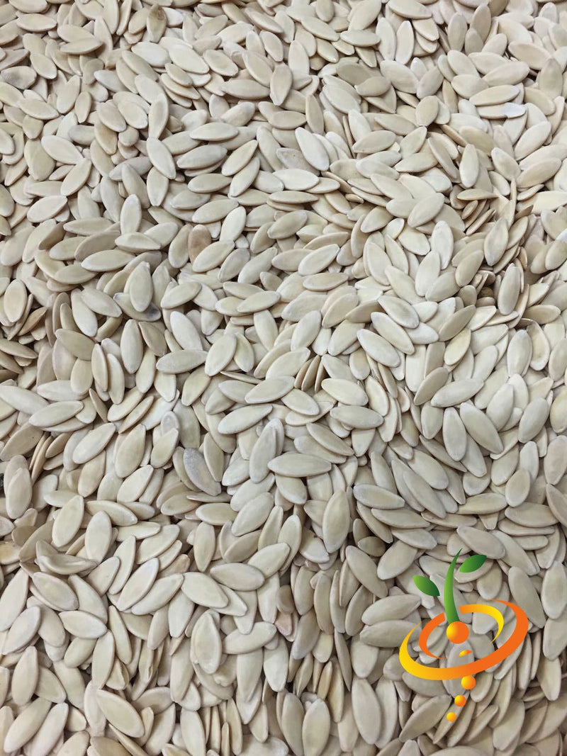 Close-up of Space Master cucumber seeds for compact, high-yield gardening