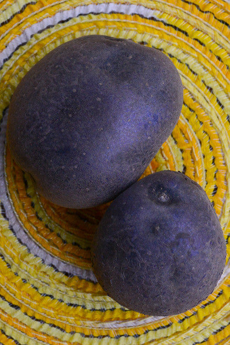 Potato (Mid-Season) - Purple Majesty (ORGANIC) - SeedsNow.com