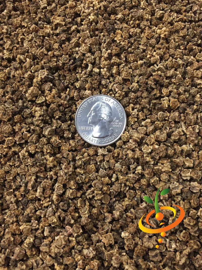 Dark red Detroit beet seeds from SeedsNow, small round seeds ideal for planting in vegetable gardens.