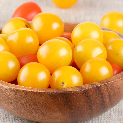 Tomato - Egg (Indeterminate) - SeedsNow.com