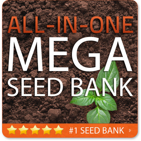 All-in-One MEGA SEED BANK + STORAGE VAULT.