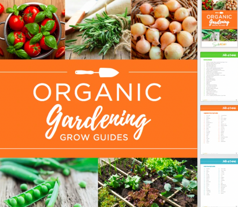 Screenshot of the free organic gardening grow guides eBook from SeedsNow.com, featuring colorful plant illustrations and guide pages.