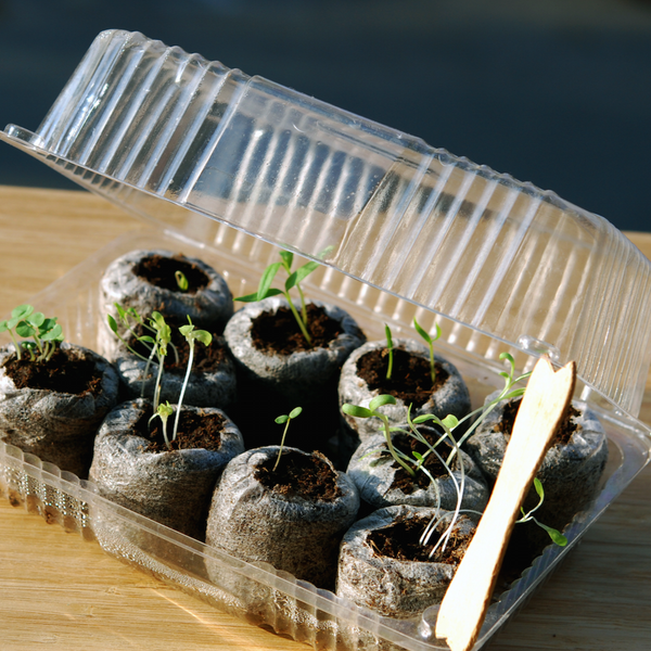 Expanding Seed Starting Soil Pods (ORGANIC).