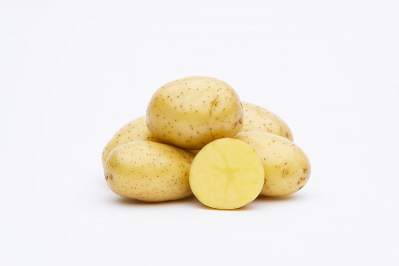 Potato (Early-Season) - Albertine - SeedsNow.com