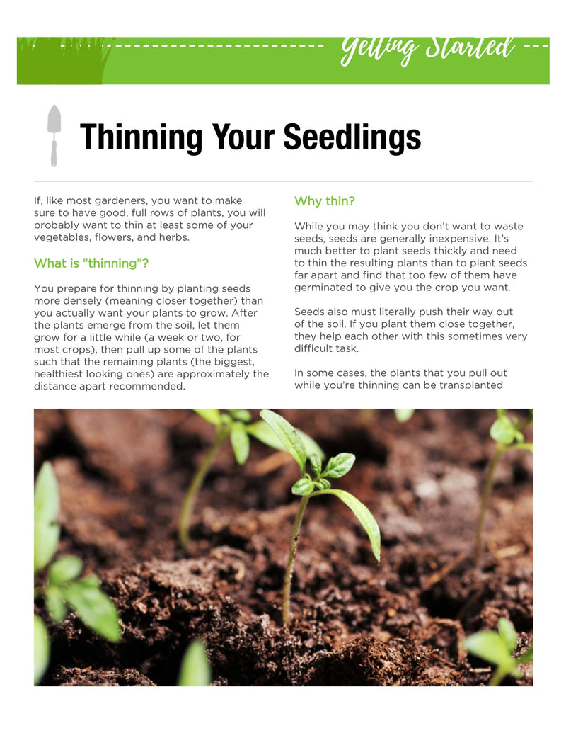 Free organic gardening growth guides eBook by SeedsNow.com, showing a lush garden with healthy plants and gardening tools.
