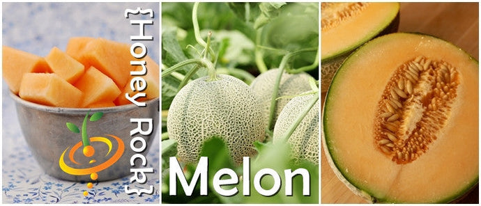 Honey Rock seeds cantaloupe melon fruit whole and sliced with cubed melon in bowl
