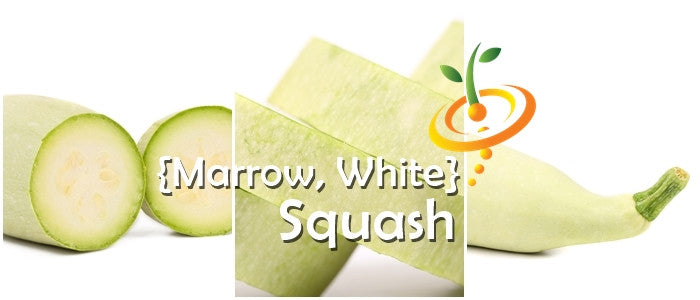 Squash (Summer) - Marrow, White.