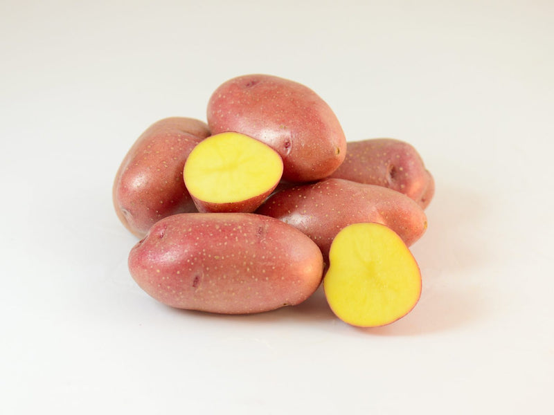 Potato (Late-Season) - Ramona - SeedsNow.com